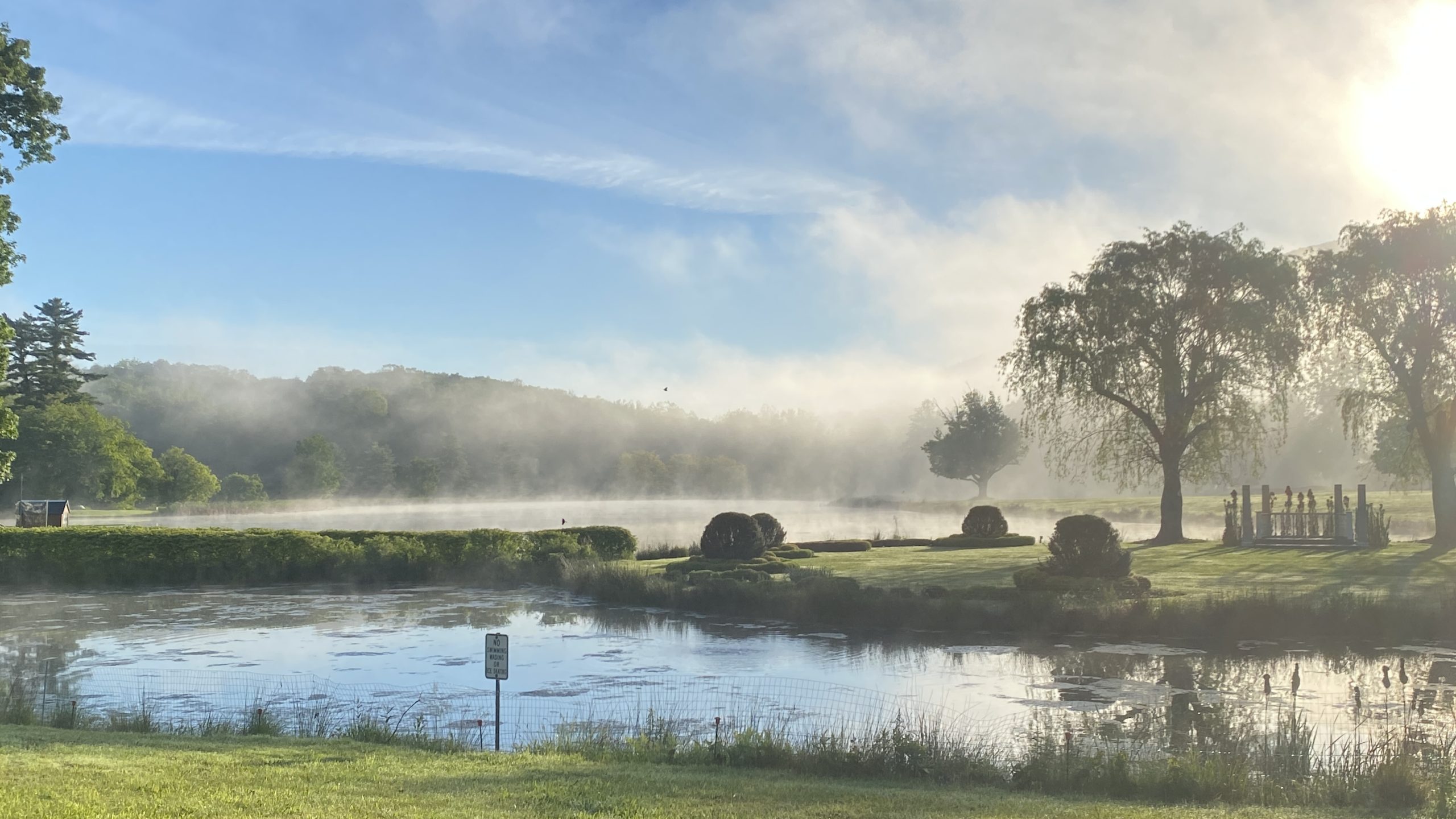 yellow-flower-meditation-retreat-morning-mist (1)